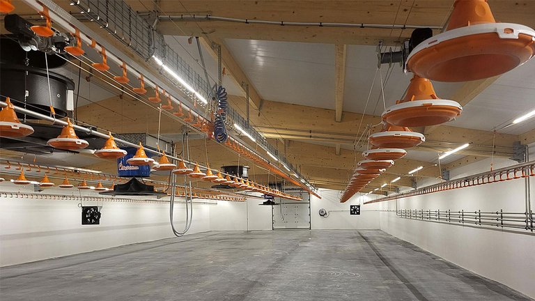 В центре внимания – современное оборудование для животноводческих помещений: технологии Big Dutchman обеспечивают точное кормление и оптимальный микроклимат внутри системы.