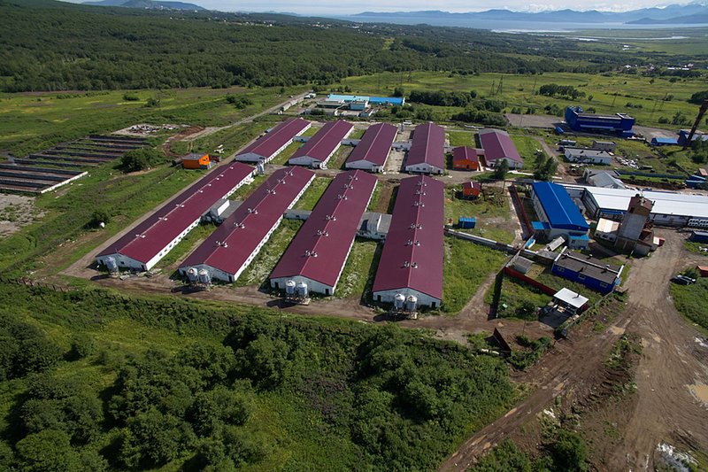 «Свинокомплекса Камчатский», вид с воздуха (источник снимка: https://minvr.ru) «Свинокомплекса Камчатский», вид с воздуха (источник снимка: https://minvr.ru)