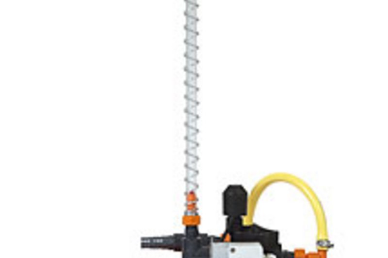 Содержание птицы: "внутренняя суть" биопленки Содержание птицы: "внутренняя суть" биопленки