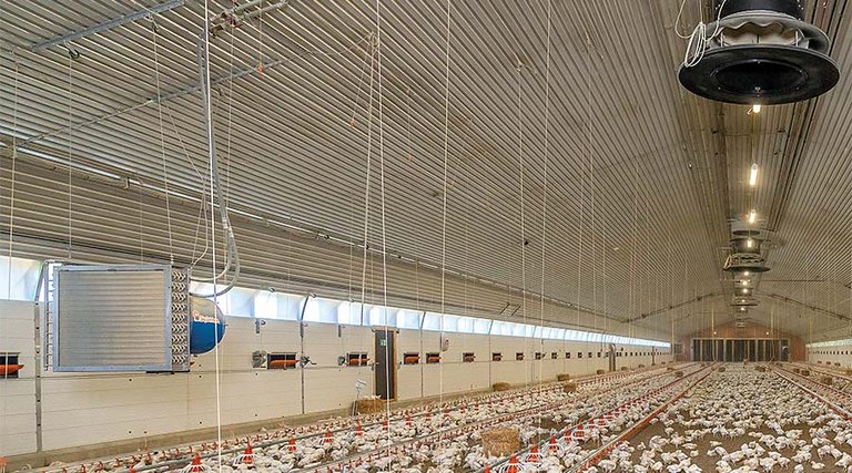 Изображение 9: Конвекторное отопление на основе горячей воды