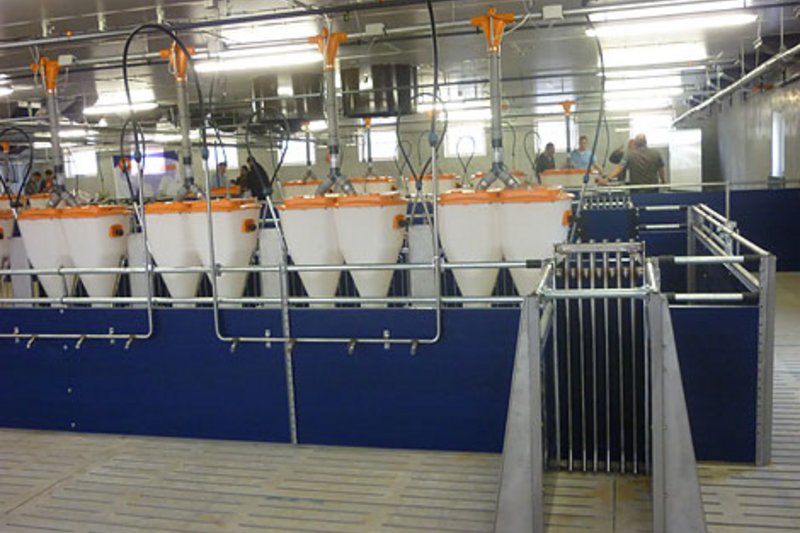 Откормочник от одного производителя