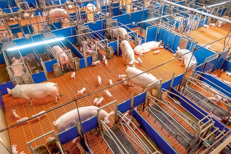 [Translate to Russian:] 