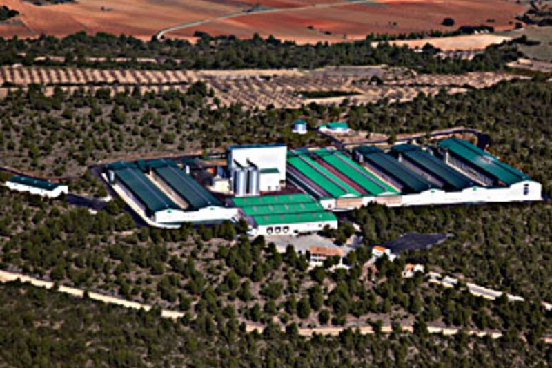 Испания: новое помещение на 150000 несушек Испания: новое помещение на 150000 несушек