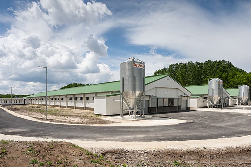 Trois bâtiments et trois silos d’aliment pour l’élevage de reproducteurs