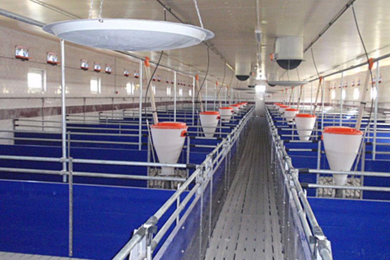 Торжественное открытие нового комплекса