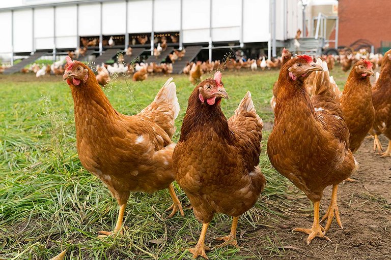 [Translate to Russian:] 