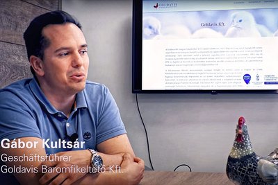 Новости об успехах с озера Балатон: Габор Культсар управляет одной из крупнейших птицеводческих ферм в Венгрии. Новости об успехах с озера Балатон: Габор Культсар управляет одной из крупнейших птицеводческих ферм в Венгрии.