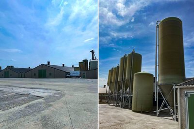 Содержание бройлеров в бельгийском городе Верне: семья Хауспи Верхамм строит будущее сельского хозяйства Птичник для содержания бройлеров с бункерами