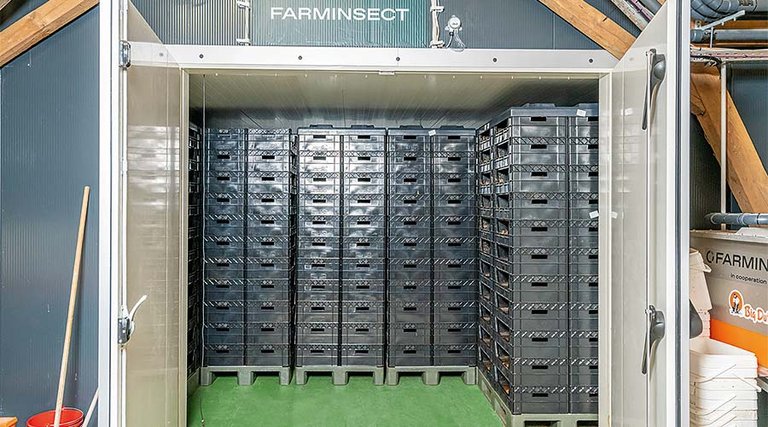 Изображение 3: В климатической камере регуляция температуры, влажности воздуха, приточного и отработанного воздуха и системы отопления осуществляется компьютером микроклимата Источник: Better Insect Solutions