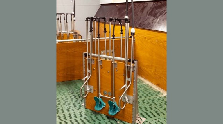 Ниппельные и чашечные поилки для постоянного снабжения чистой водой. Ниппельные и чашечные поилки для постоянного снабжения чистой водой.