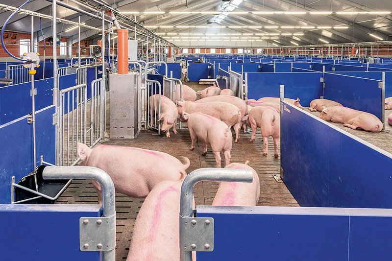 Станция кормления по вызову Call-Inn pro