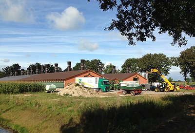 Содержание индейки: новые птичники на 10000 голов. Содержание индейки: открытие новых птичников на 10000 голов