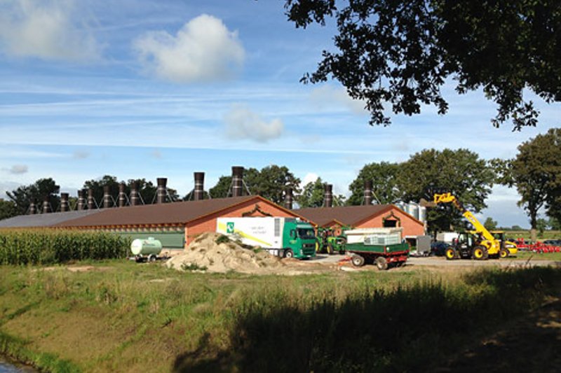 Содержание индейки: открытие новых птичников на 10000 голов