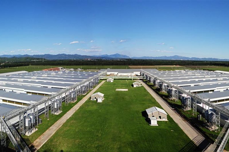 Вид на птицеферму с кормовой мельницы фермы Вид на птицеферму с кормовой мельницы фермы