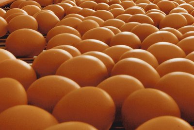 Астраханская птицефабрика планирует увеличить годовое производство яиц на 9%