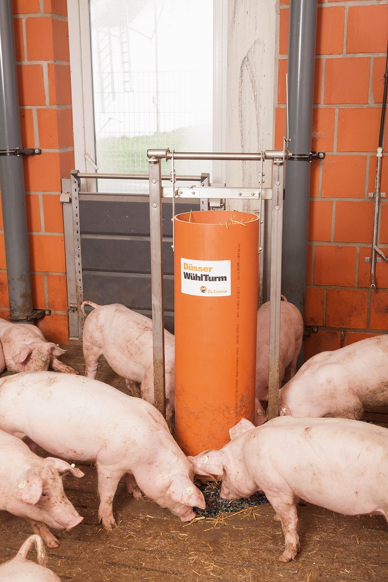 Enrichment toys for pig finishing 