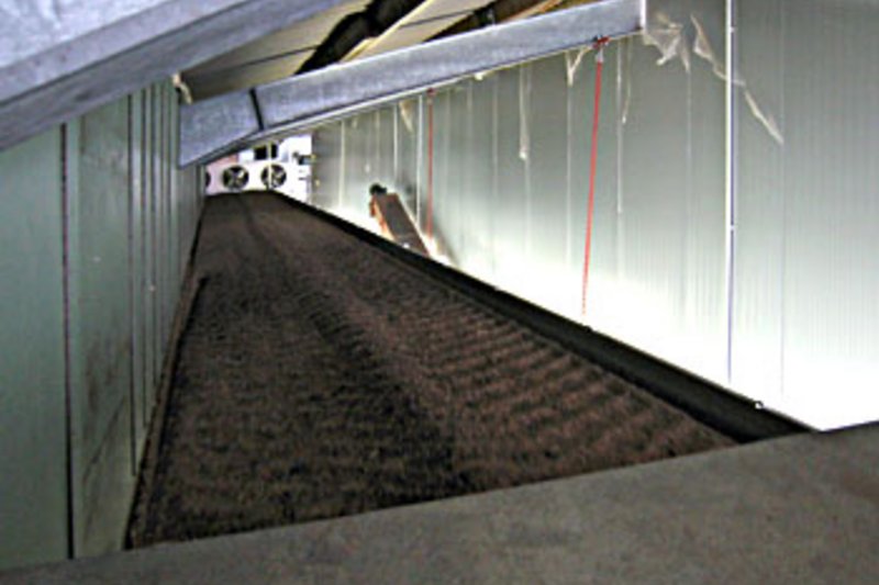 Buenos resultados del túnel de secado de estiércol