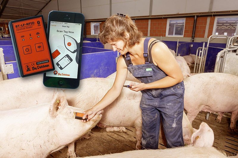 BeastReader: Simple ear tag reding in sow management