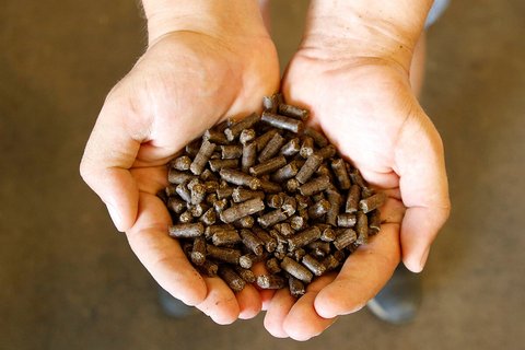 Утилизация отходов производства