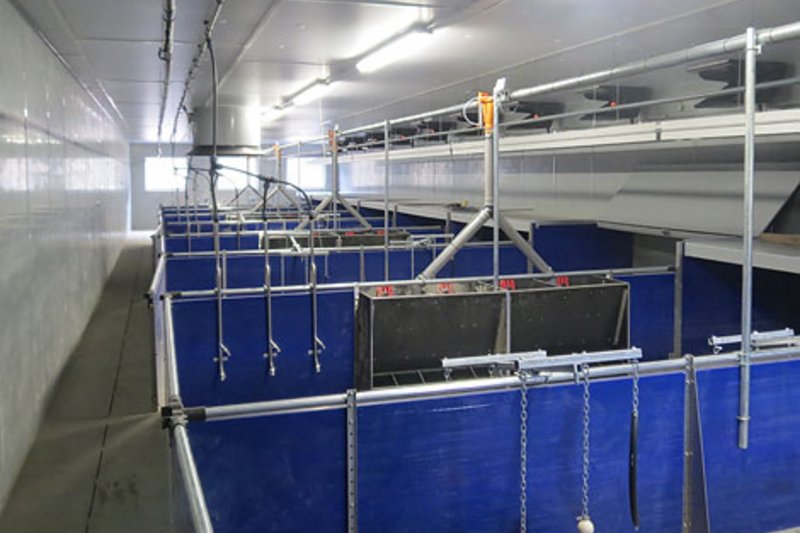 Открытие корпуса с оборудованием для доращивания поросят