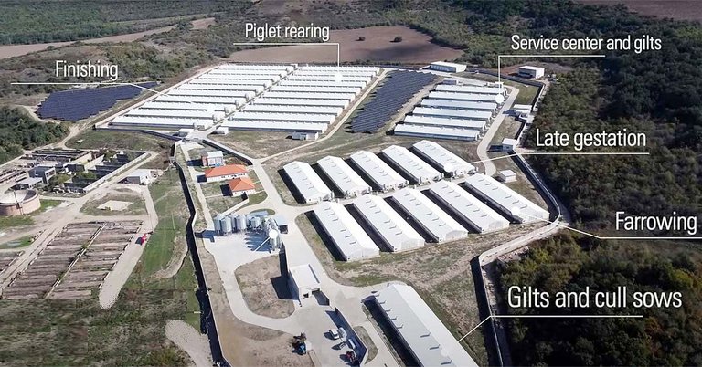 Изображение фермы с воздуха