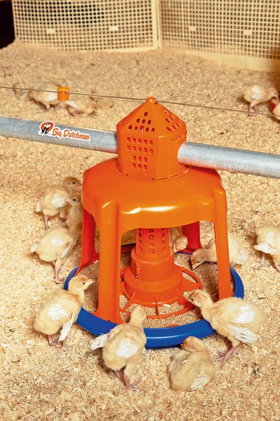 Кормушка серии Gladiator для индейки 