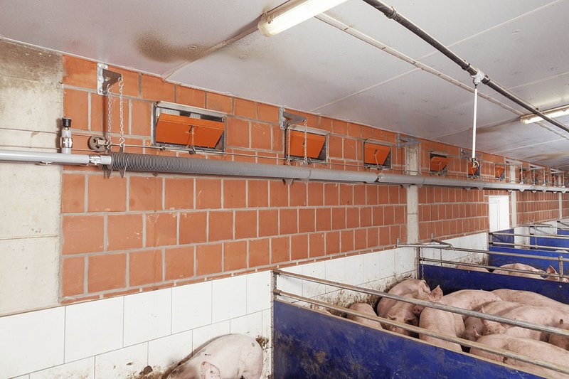 Приміщення для відгодівлі свиней з припливними клапанами в стіні, трубою розпилювальної системи охолодження та опаленням