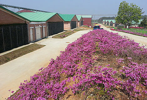 Top hodowla loch w Nonsan-si, Korea Południowa