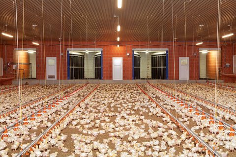 Очистка отработанного воздуха