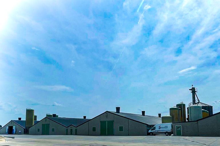 Западная Фландрия демонстрирует, как выглядит сельское хозяйство, ориентированное на будущее. Четыре птичника для содержания бройлеров и несколько бункеров