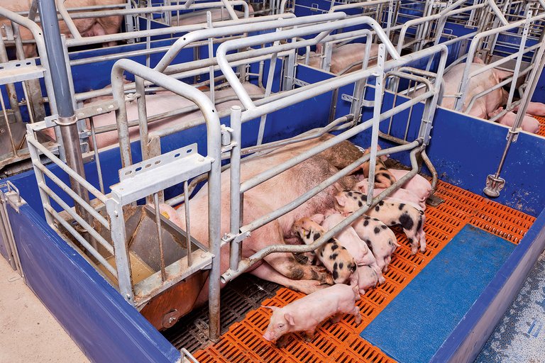 [Translate to Russian:] 