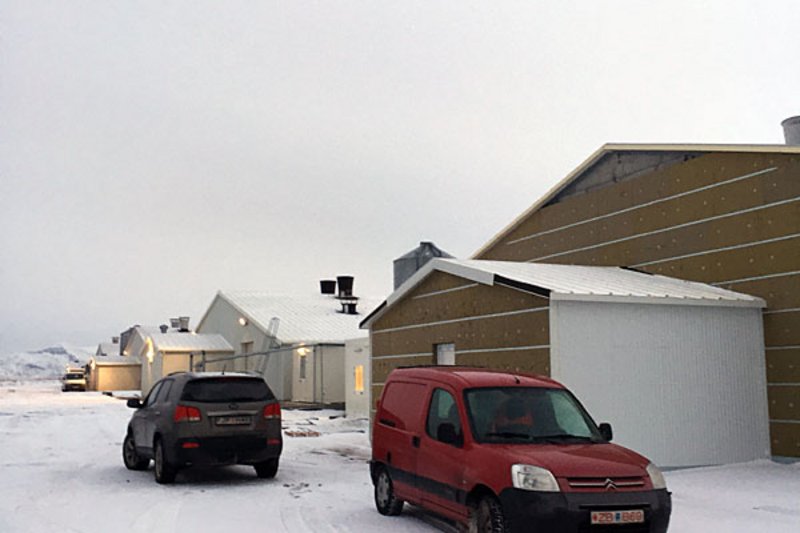 Вид на здание бройлерного птичника