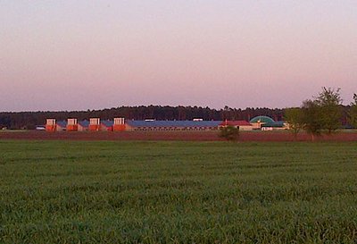 Четырехкорпусный комплекс для откорма бройлеров с современным оборудованием