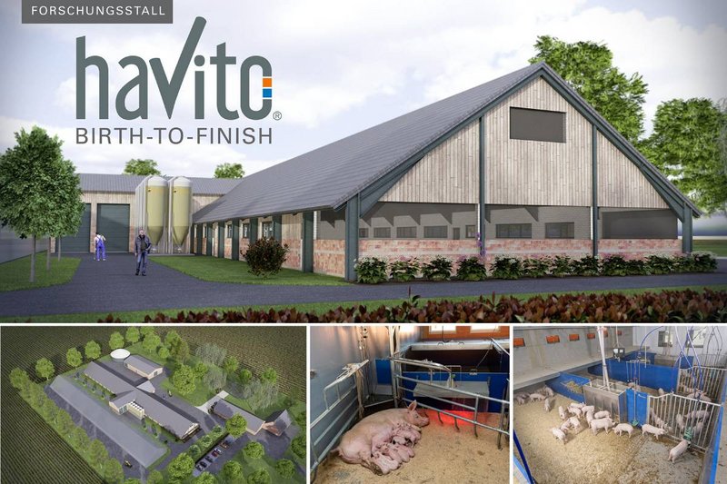 BRÖRING et Big Dutchman démarrent le concept « Havito – le bâtiment bien-être sans caillebotis »