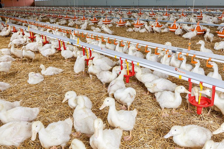 [Translate to Russian:] 