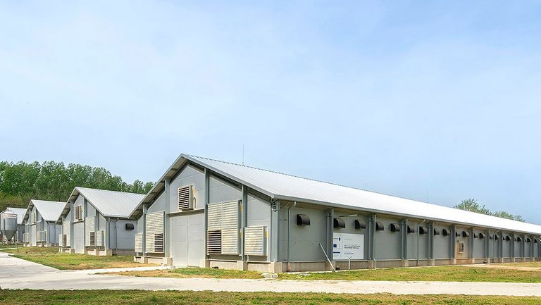 Современные технологии приводят к успеху