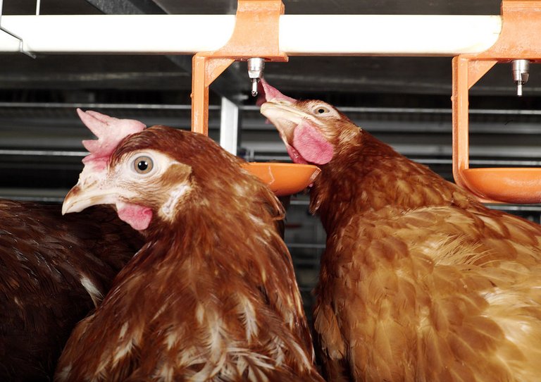 [Translate to Russian:] 