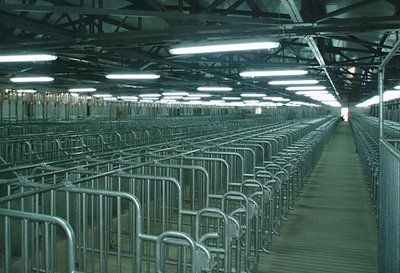 Партнерство обеспечивает оптимальные решения Партнерство обеспечивает оптимальные решения