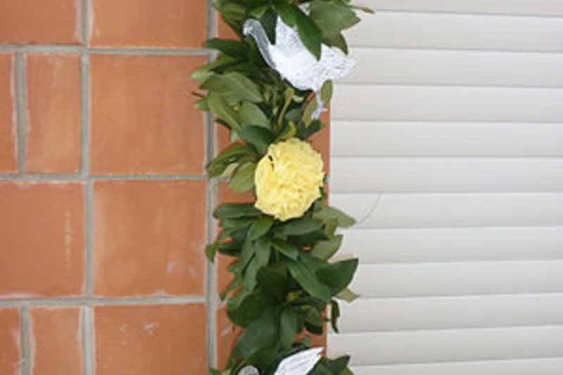 Наплыв посетителей в связи с открытием двух новых птичников