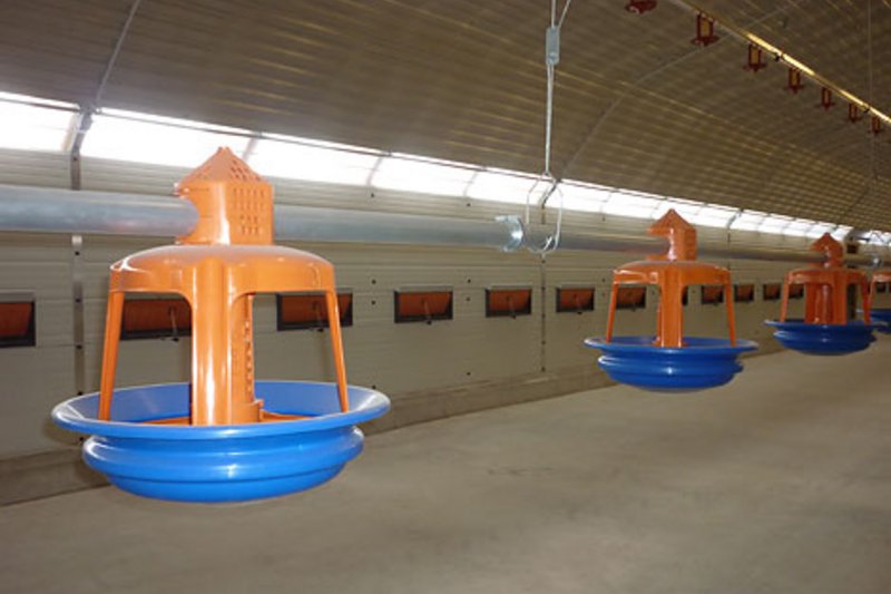 Наплыв посетителей в связи с открытием двух новых птичников