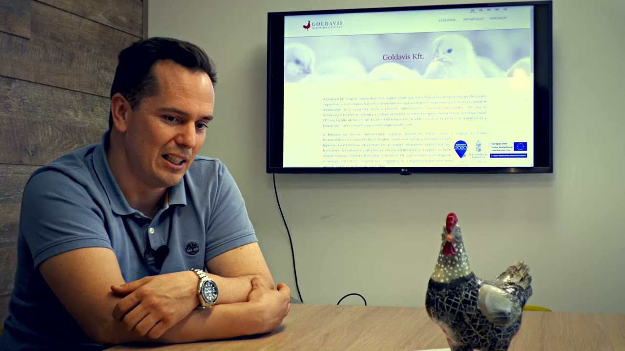 Successful broiler breeder management in Hungary