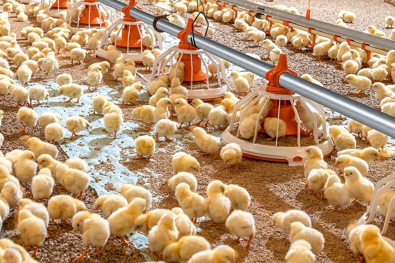 [Translate to Russian:] 