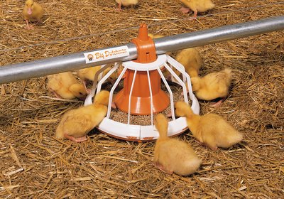 Производство мяса: кормушка Big Pan Plus для уток 