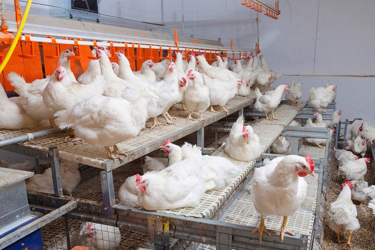 [Translate to Russian:] 