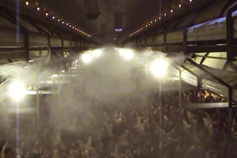 Niebla de agua encima del suelo de la nave
