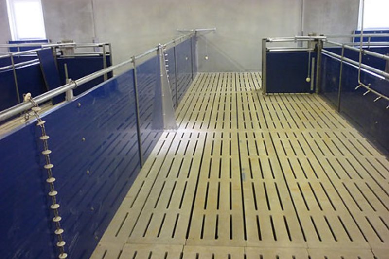 New pig house including pig equipment for 1,376 animal places 