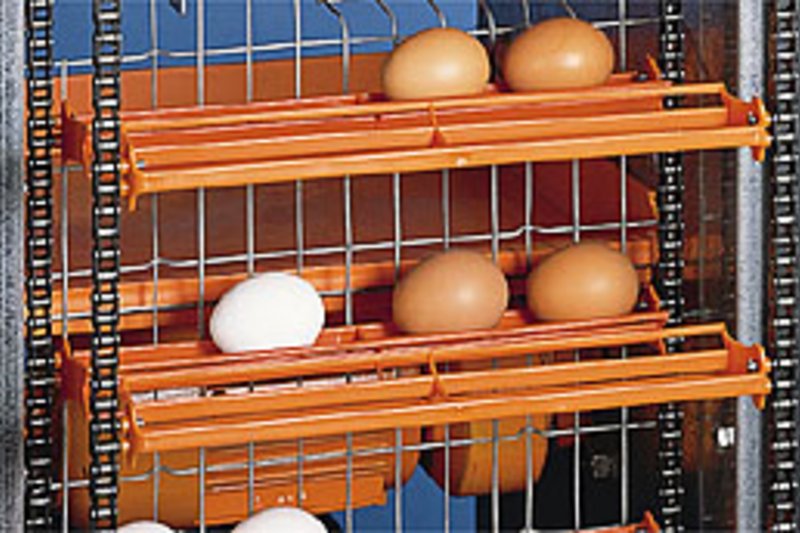 Live-Spektakel rund um Eier aus Big Dutchman-Anlagen