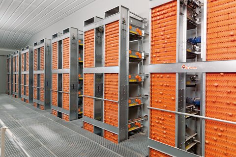 Системы сбора яиц