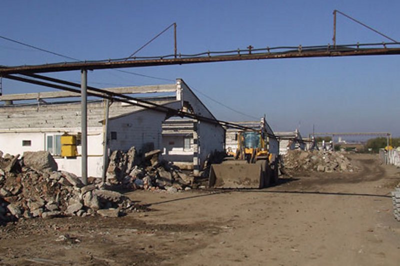 Содержание 2600 свиноматок в замкнутой системе 