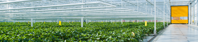 [Translate to Russian:] 